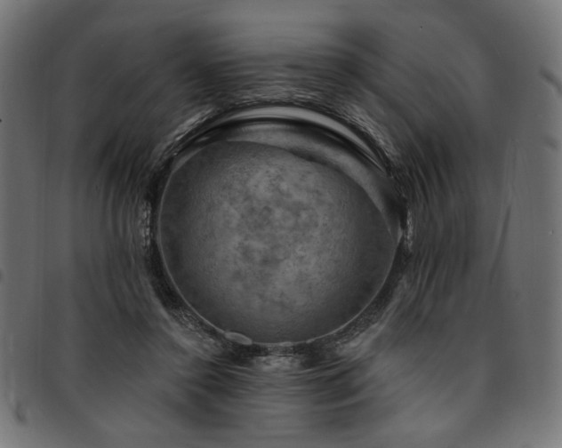 X0000095530356200712141507