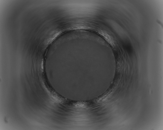 X0000095530358200712141507