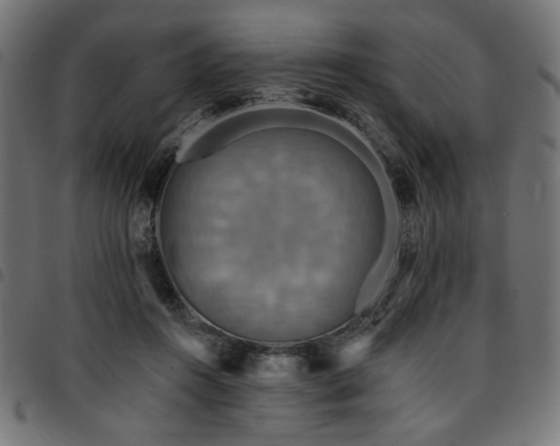 X0000095530360200712141507