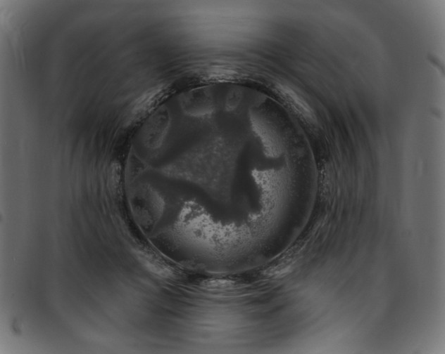 X0000095530361200712141507