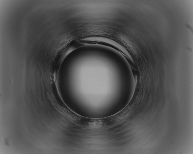 X0000095530362200712141507