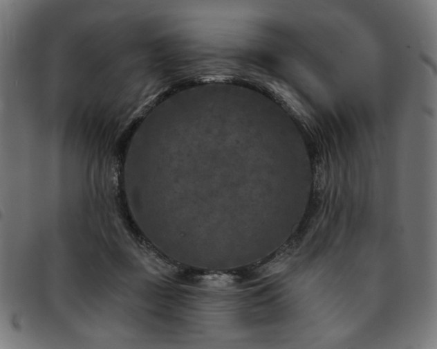 X0000095530363200712141507