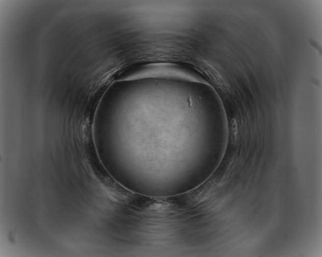 X0000095530364200712141507