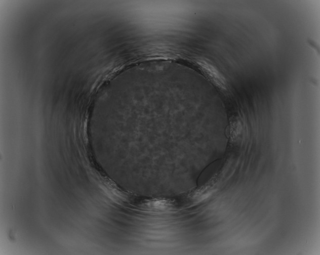 X0000095530365200712141507