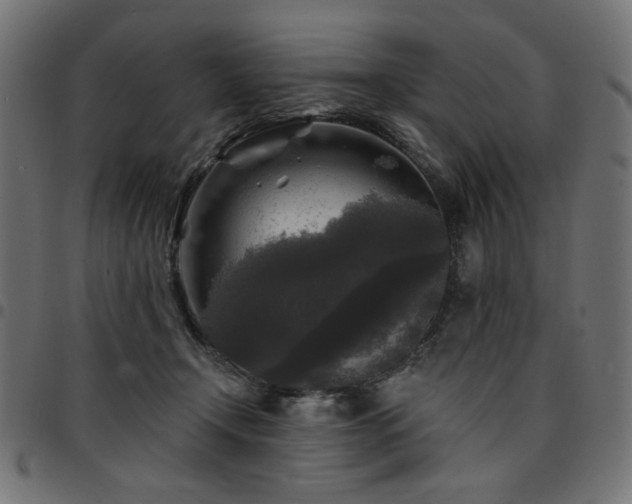 X0000095530366200712141507