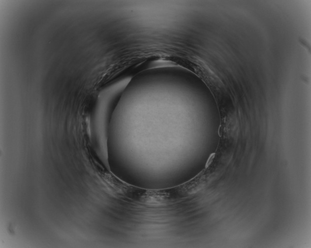 X0000095530368200712141507