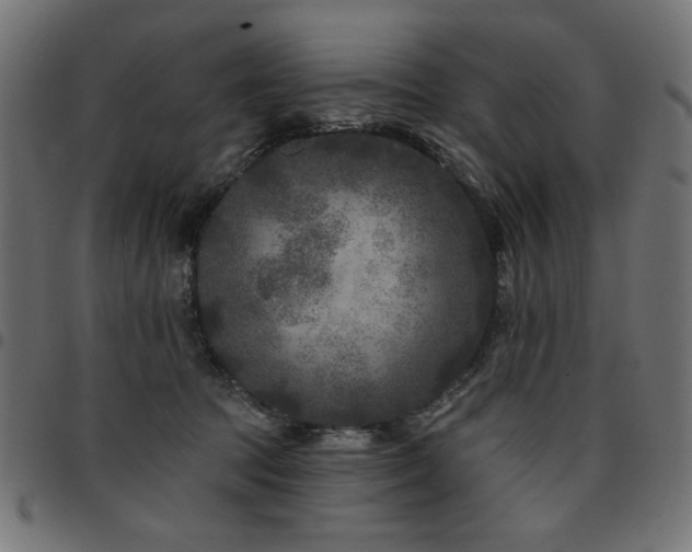 X0000095530369200712141507