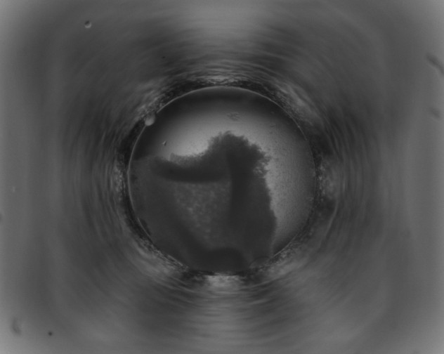 X0000095530371200712141507