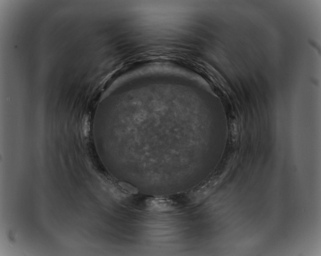 X0000095530372200712141507