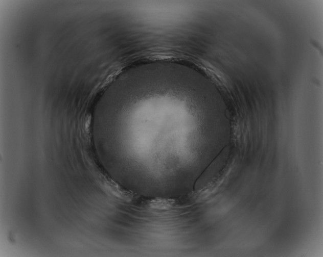 X0000095530373200712141507