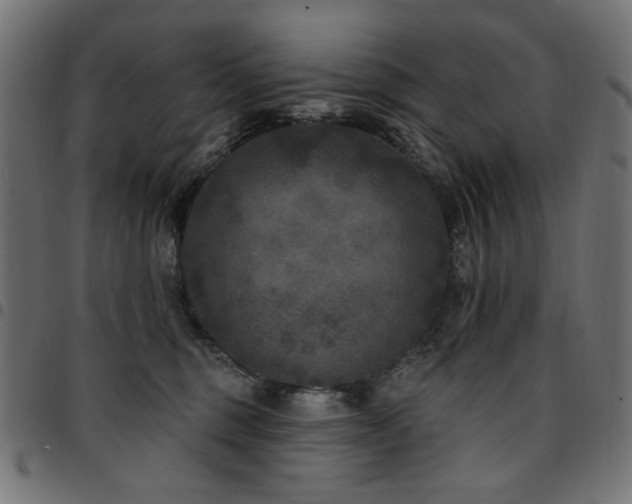 X0000095530375200712141507