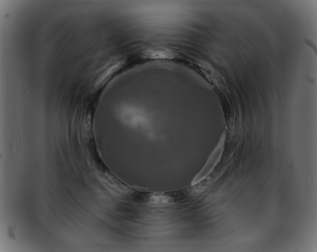 X0000095530376200712141507