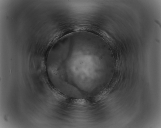 X0000095530377200712141507
