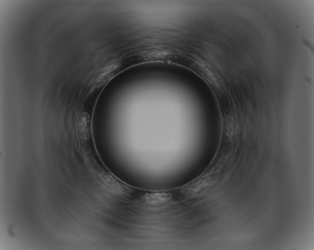 X0000095530378200712141507