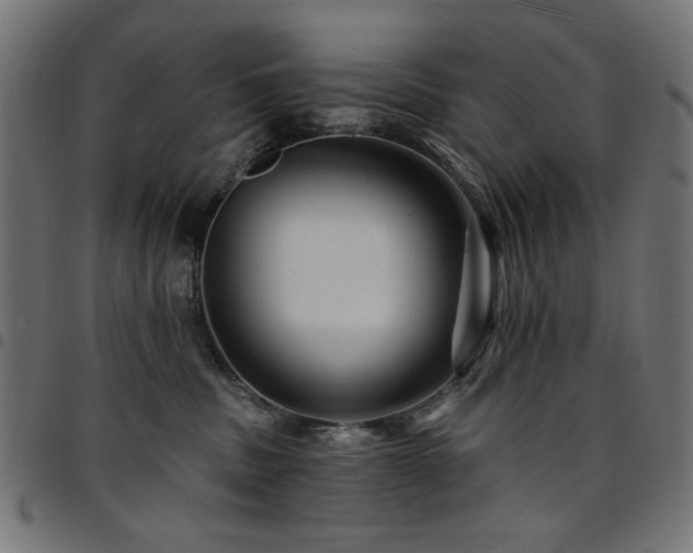 X0000095530379200712141507