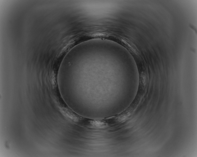 X0000095530380200712141507