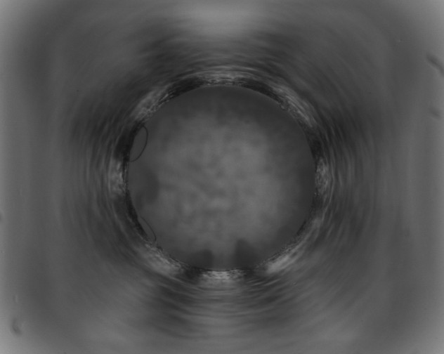 X0000095530381200712141507