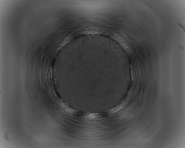 X0000095530382200712141507