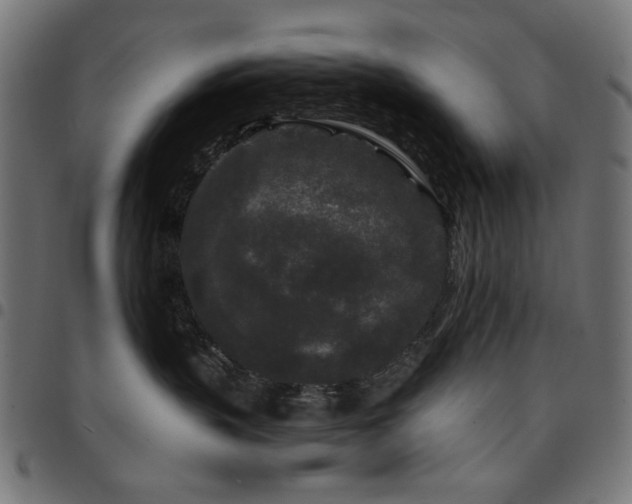 X0000095530383200712141507