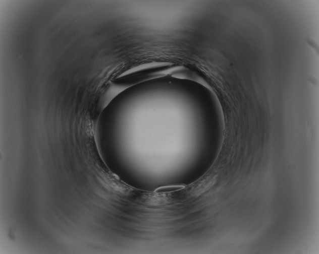 X0000095530384200712141507