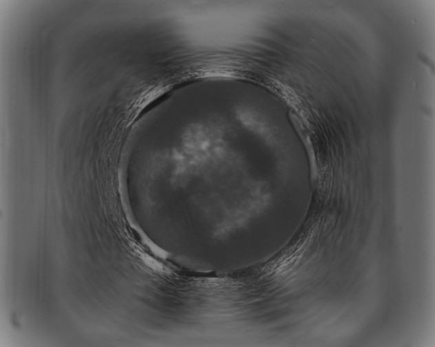 X0000095530385200712141507