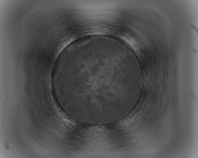 X0000095530386200712141507