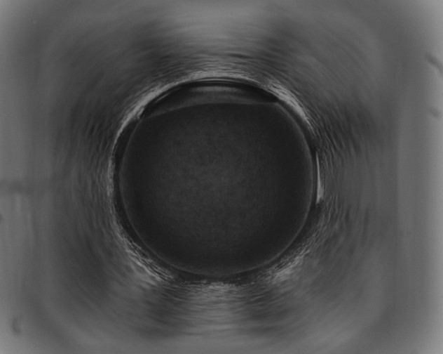 X0000095530387200712141507
