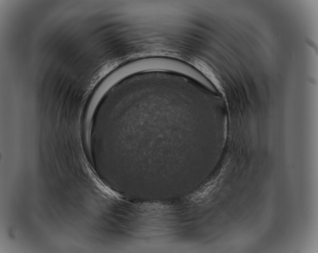 X0000095530389200712141507