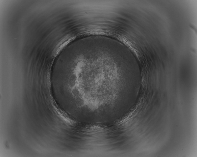 X0000095530390200712141507