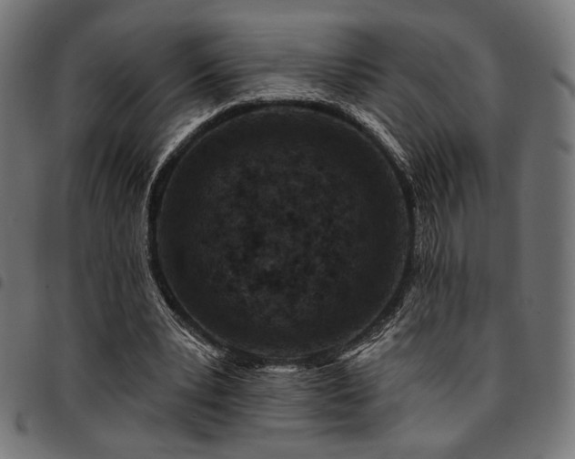 X0000095530391200712141507