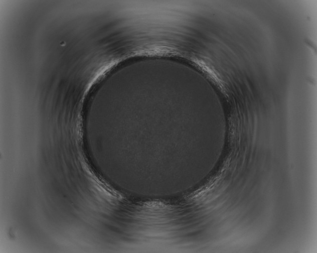 X0000095530392200712141507