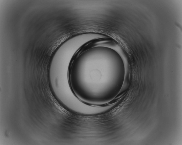X0000095530393200712141507