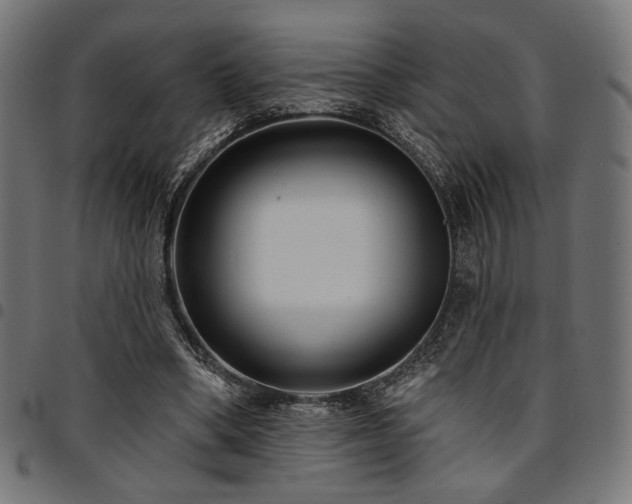 X0000095530394200712141507