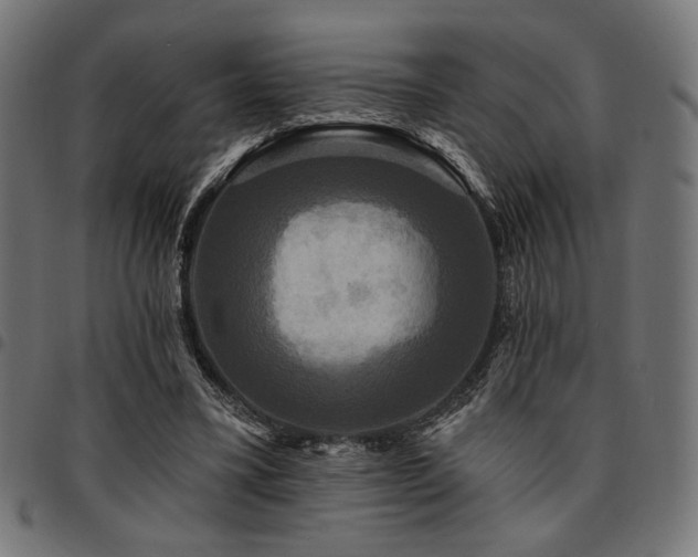 X0000095530395200712141507