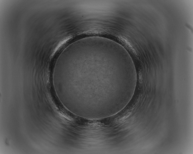 X0000095530396200712141507