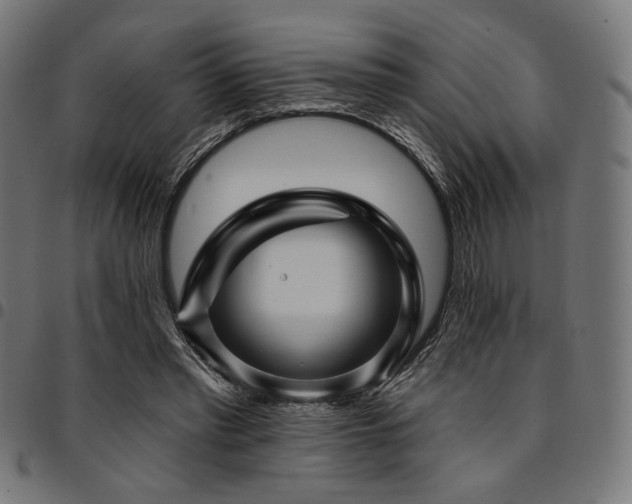 X0000095530397200712141507