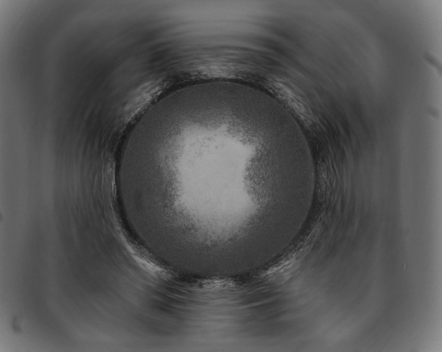 X0000095530398200712141507