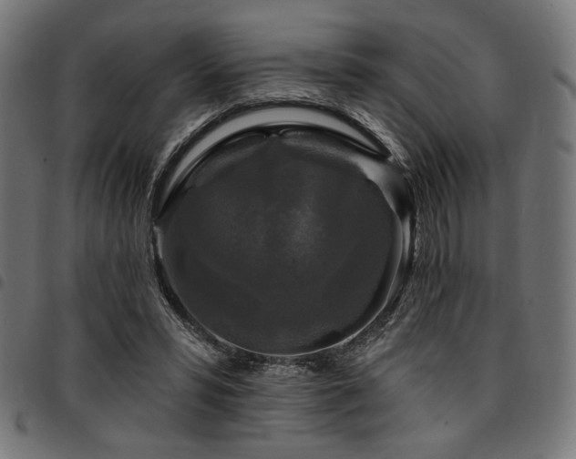 X0000095530399200712141507