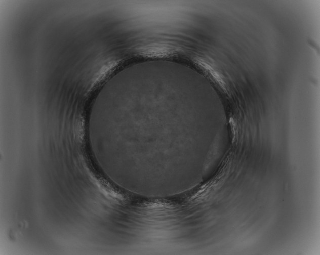 X0000095530400200712141507
