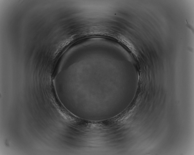 X0000095530401200712141507