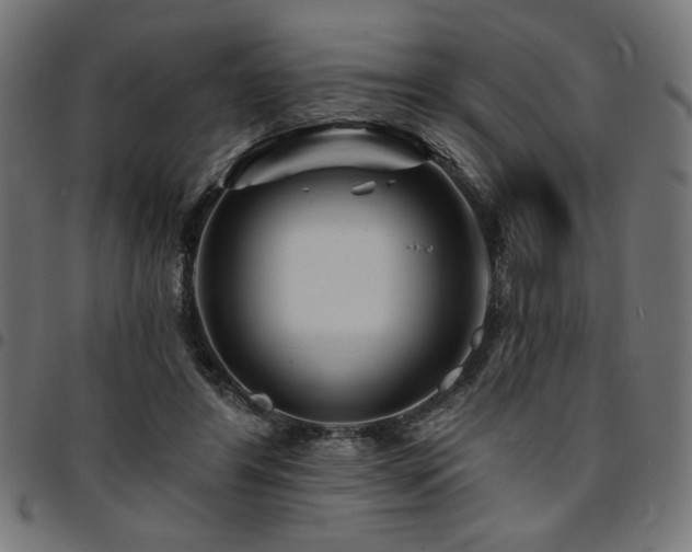 X0000095530404200712141506