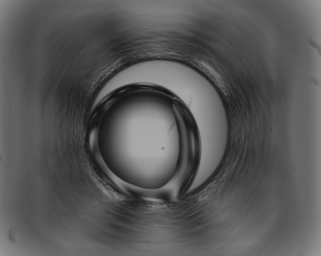 X0000095530405200712141506
