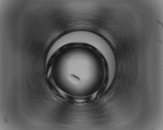 X0000095530407200712141506