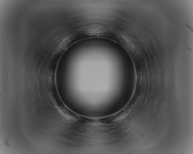 X0000095530408200712141506