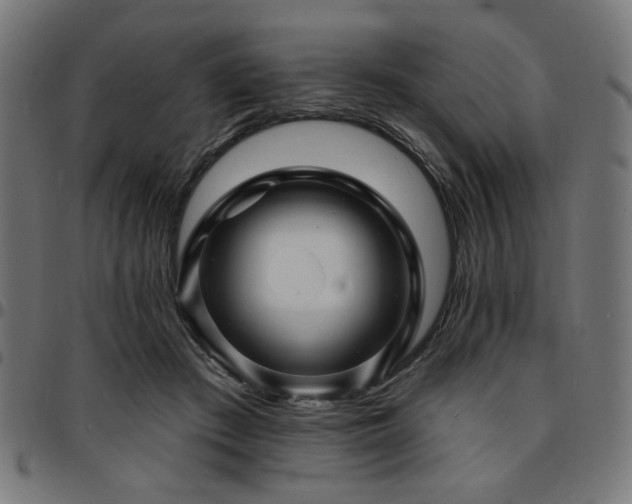 X0000095530409200712141506