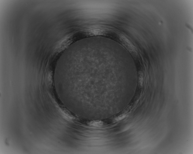 X0000095530410200712141506