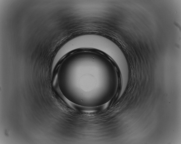 X0000095530411200712141506