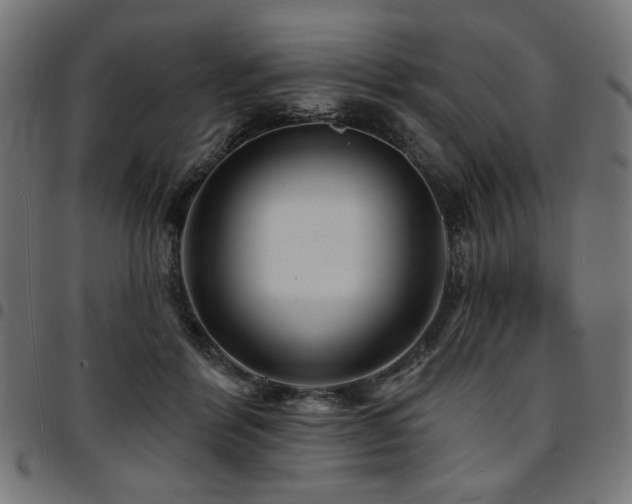 X0000095530412200712141506
