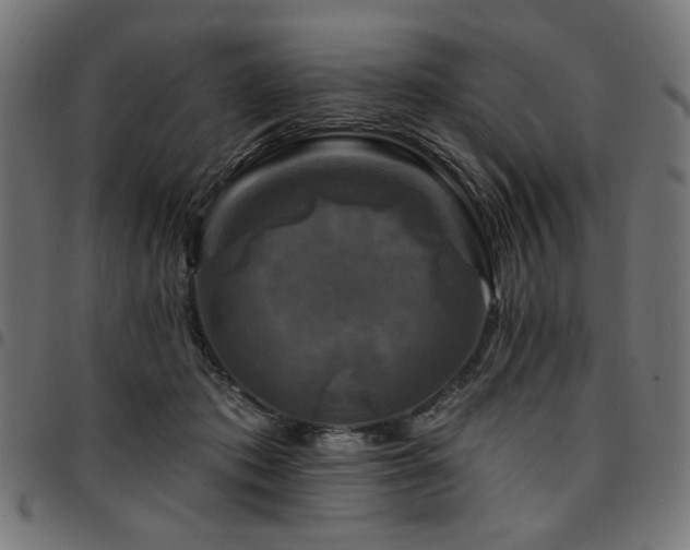 X0000095530413200712141506