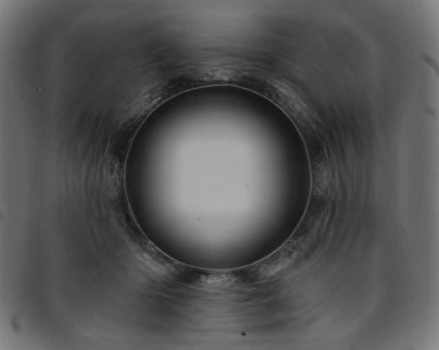 X0000095530414200712141506